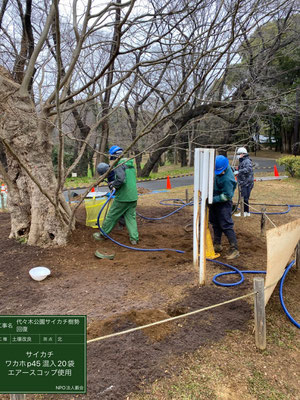 ▲土壌改良ワカホP45混入エアースコップ使用代々木公園サイカチ