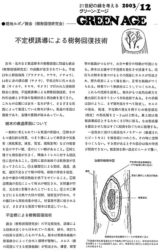 グリーン・エージ