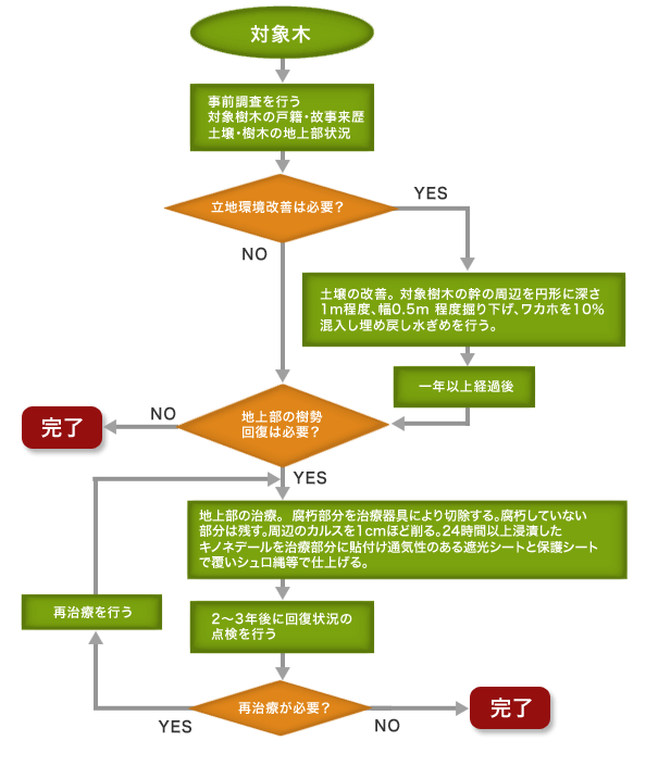 flow chart