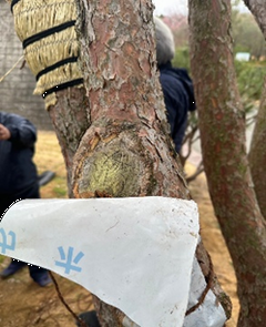 タギョウショウ